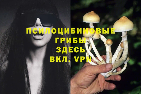 гидропоника Мурманск