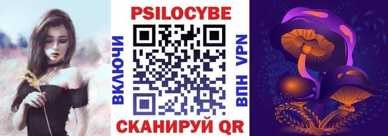 купить закладку Новозыбков Псилоцибиновые грибы мицелий