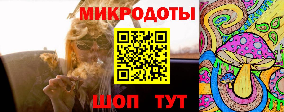 Псилоцибиновые грибы Cubensis  Новозыбков 