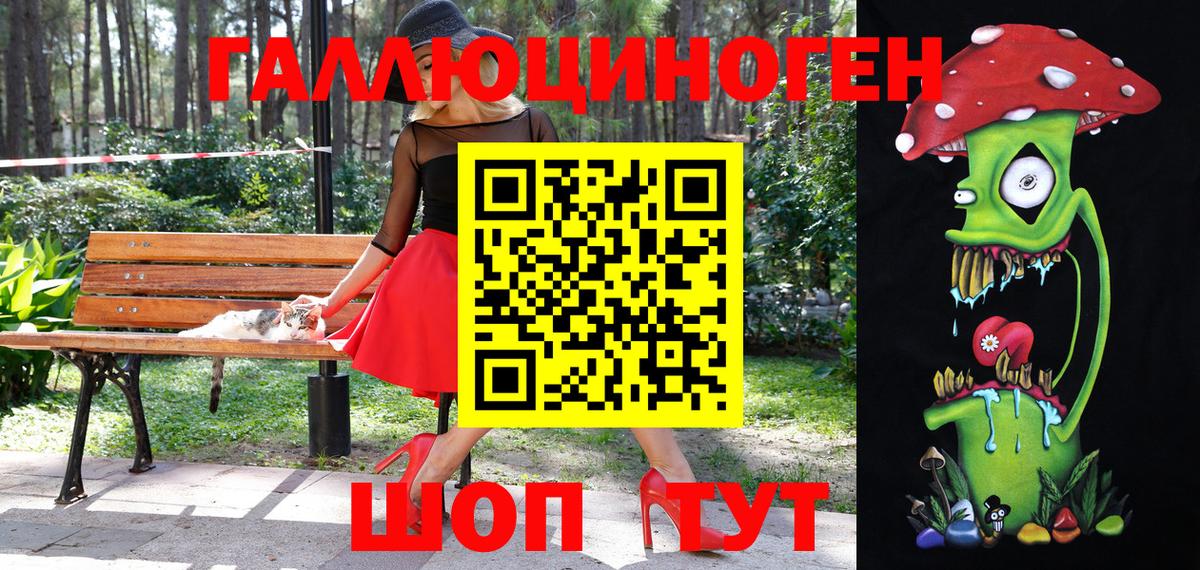 Галлюциногенные грибы Cubensis Новозыбков